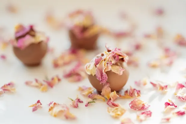 티유에스케이 카지노 안드로이드/iOS 앱